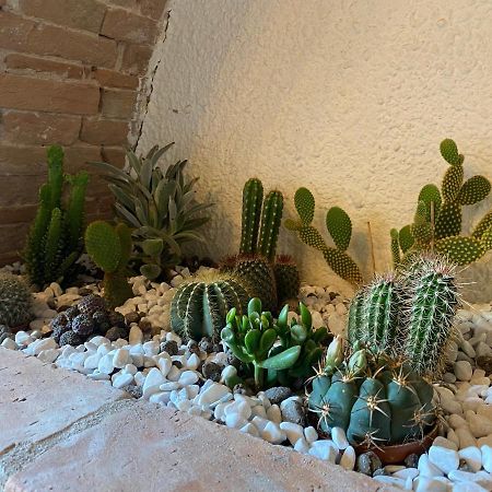Cactus Suite Pisa Luaran gambar