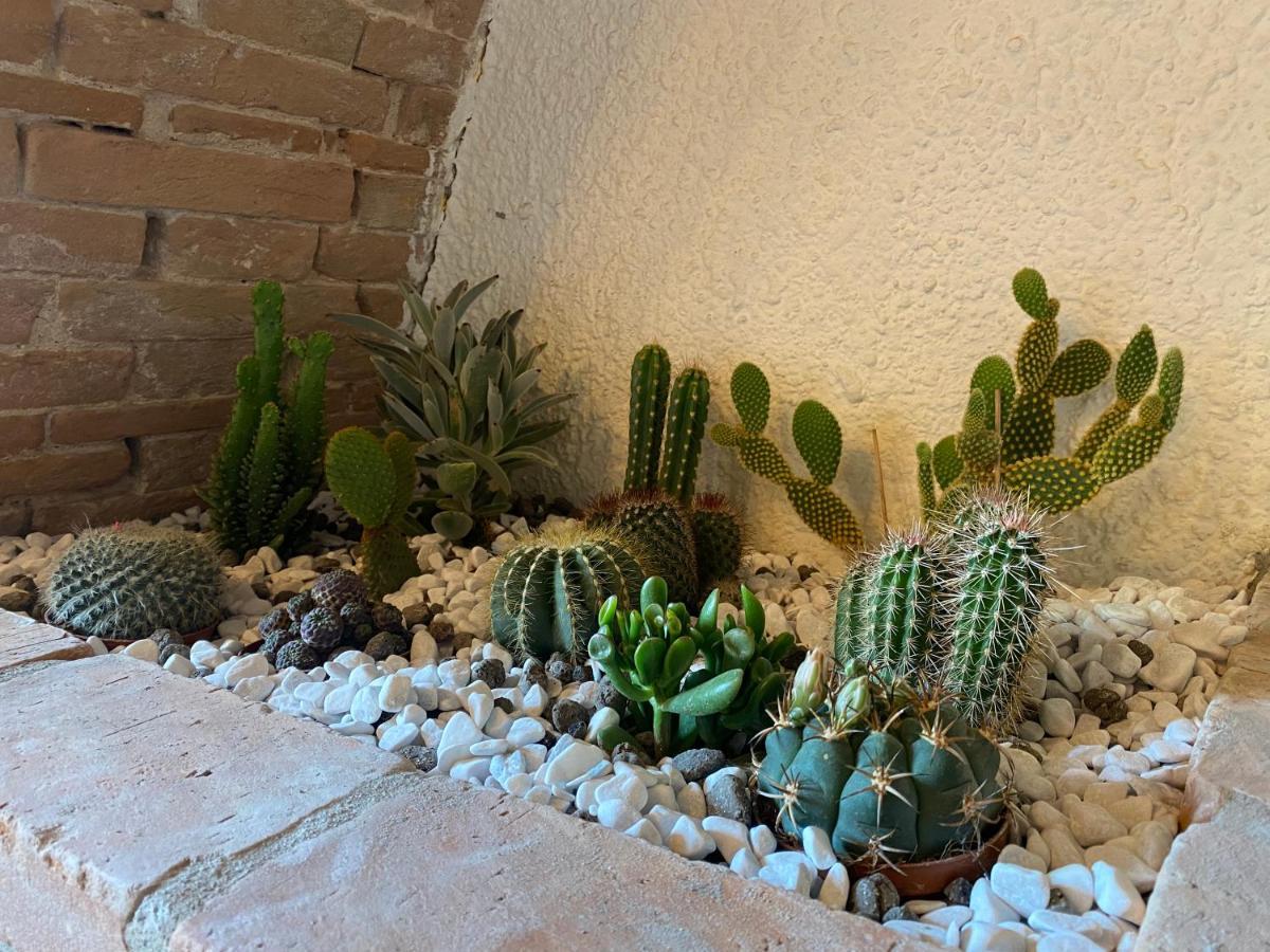 Cactus Suite Pisa Luaran gambar